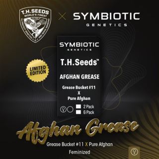 21745 - Afghan Grease 5 u. fem. T.H. Seeds X Symbiotic Genetics