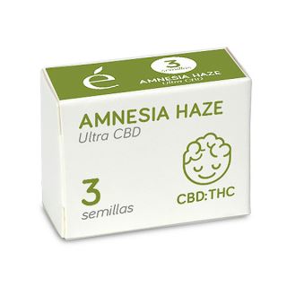 14542 - Amnesia Haze Ultra CBD 3 u. fem. Elite Seeds