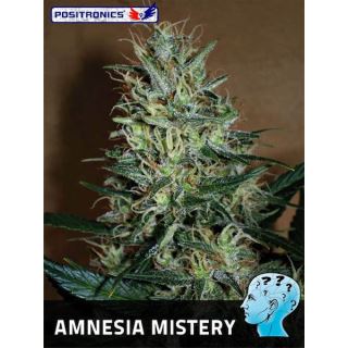 AMP3 - Amnesia Mistery  3 u. fem. Positronics