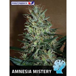 6441 - Amnesia Mistery 25 u. fem. Positronics