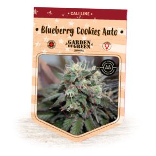 13759 - Auto Blueberry Cookies  3 u. fem. Garden of Green Seeds