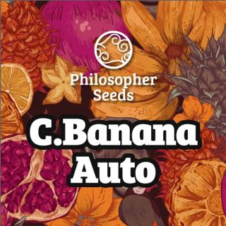 23637 - Auto Chiquita Banana 3 u fem  Philosopher