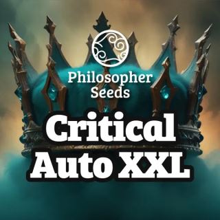 21907 - Auto Critical XL 3 u fem Philosopher