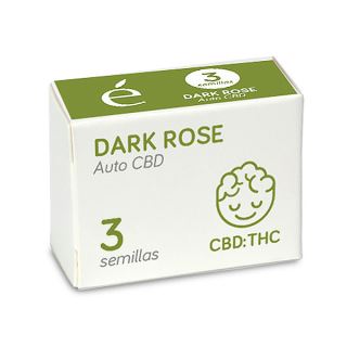 14538 - Auto Dark Rose CBD 3 u. fem. Elite Seeds