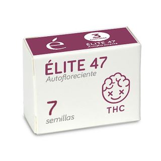 14526 - Auto Elite 47 - 7 u. fem. Elite Seeds