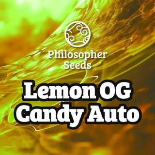 23641 - Auto Lemon OG Candy 3 u fem  Philosopher