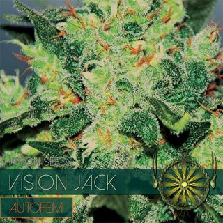 9253 - Auto Vision Jack 3+1 u. fem. Vision Seeds