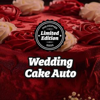 19757 - Auto Wedding Cake 5 u fem Philosopher