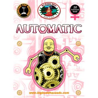 AMTB - Automatic  5 u. fem. Big Buddha Seeds