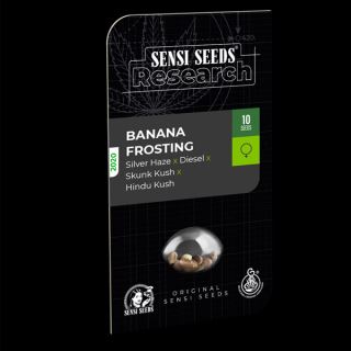 12280 - Banana Frosting  5 u. fem. Sensi Seeds Research