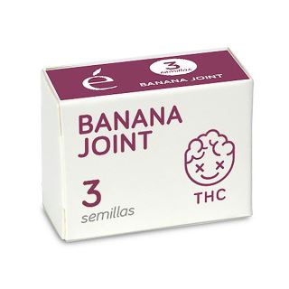 14518 - Banana Joint 3 u. fem. Elite Seeds
