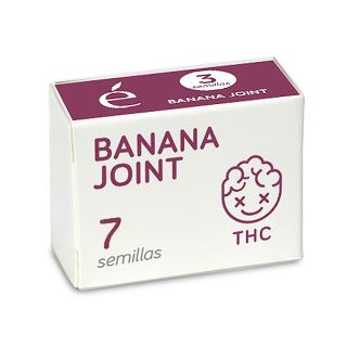 14519 - Banana Joint 7 u. fem. Elite Seeds