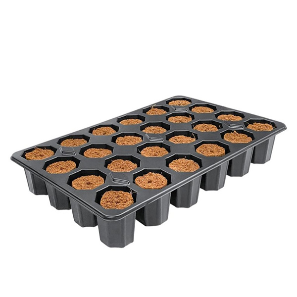 Bandeja Plugin Rootit 19x29 cm 24 Alveolos