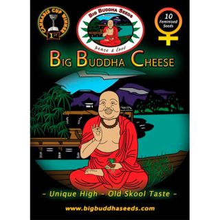 BBCH - Big Buddha Cheese  5 u. fem. Big Buddha Seeds