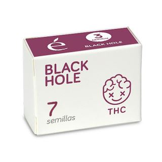 14522 - Black Hole 7 u. fem. Elite Seeds