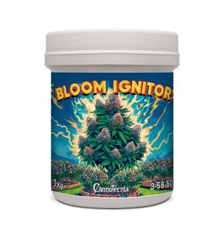 19024A - Bloom Ignitor 1 Kg. Cannotecnia