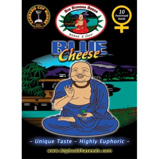 BC5 - Blue Cheese  5 u. fem. Big Buddha Seeds