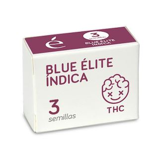 14506 - Blue Elite Indica 3 u. fem. Elite Seeds