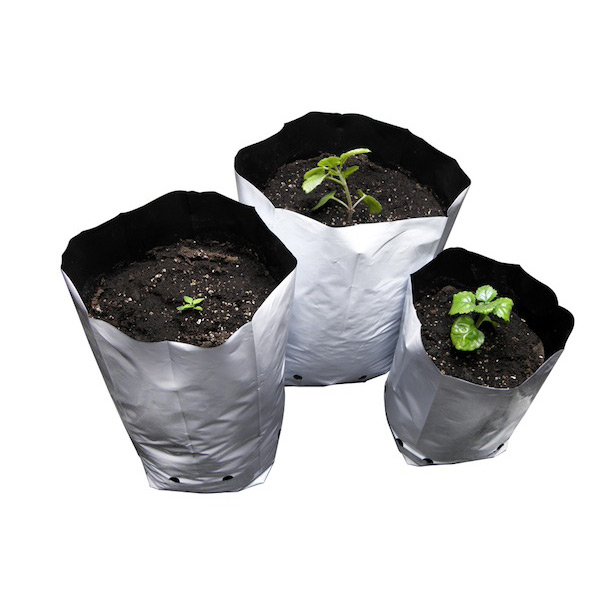Bolsa Cultivo Blanca Gal
