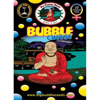 BBC10 - Bubble Cheese 10 u. fem. Big Buddha Seeds
