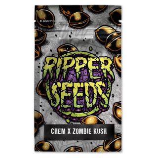 14381 - Chem x Zombie Kush 3 u. fem. Ed. Lim. Ripper Seeds