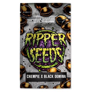 14398 - Chempie x Black Domina 3 u. fem. Ed. Lim. Ripper Seeds