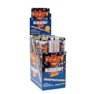 Cones Juicy Jones Blueberry 2 ud. x 24 Blister