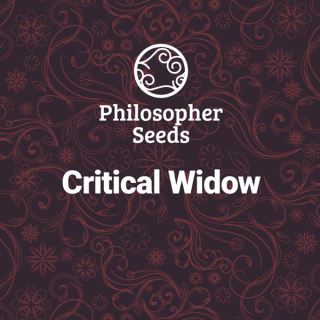 19743 - Critical Widow 5 u fem Philosopher