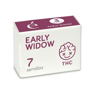 14521 - Early Widow 7 u. fem. Elite Seeds