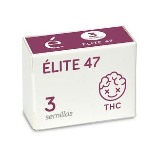14515 - Elite 47 - 3 u. fem. Elite Seeds