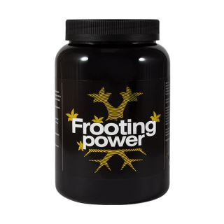 9100 - Frooting Power 1Kg. BAC