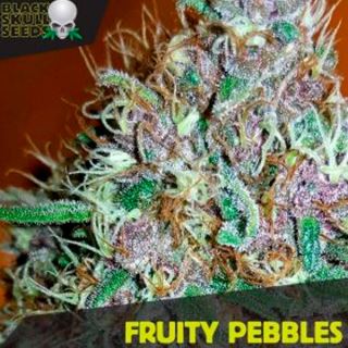 10155 - Fruity Pebbles   5 u. fem. Black Skull Seeds