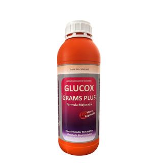 14976 - Glucox Grams 1 lt