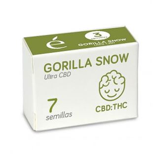 14547 - Gorilla Snow Ultra CBD 7 u. fem. Elite Seeds