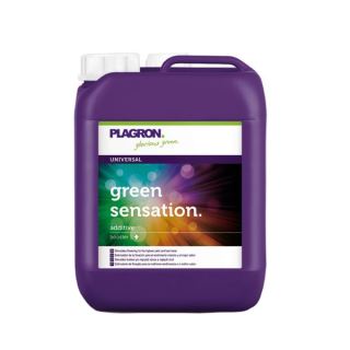 5881 - Green Sensation  5 lt. Plagron