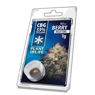 17730 - Jelly CBG 33% Blueberry Plant of Life