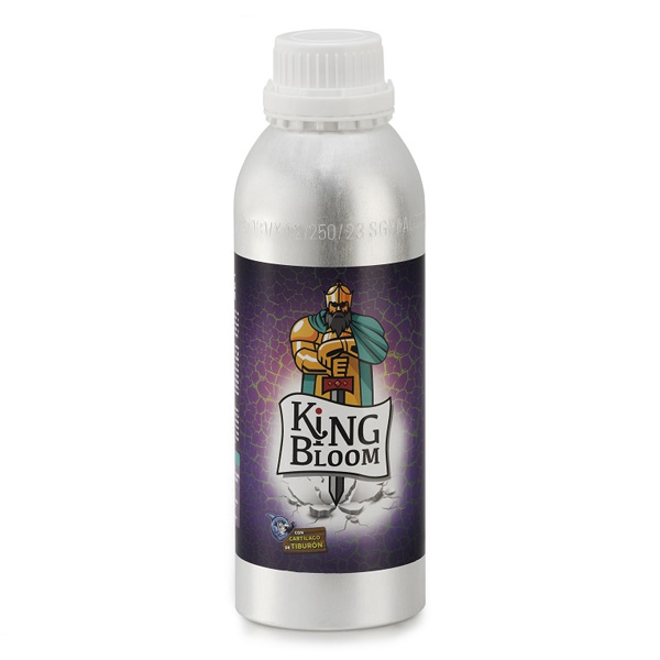 King Bloom Trabe