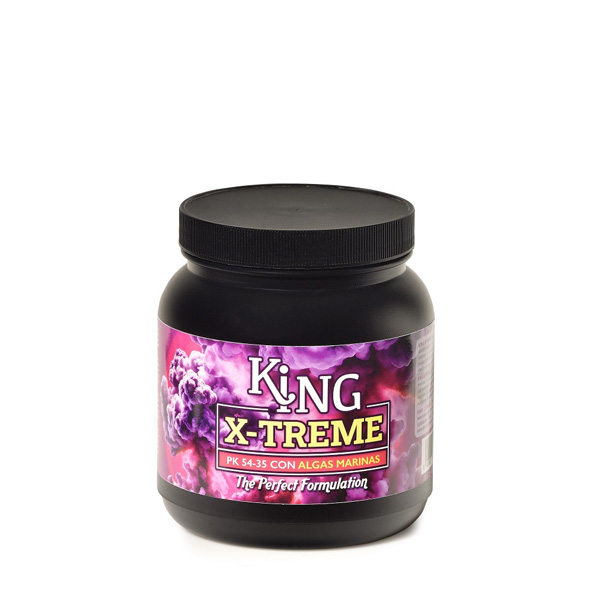 King X Treme Trabe