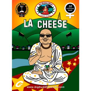 LAC5 - LA Cheese  5 u. fem. Big Buddha Seeds