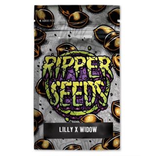 14378 - Lilly x White Widow 3 u. fem. Ed. Lim. Ripper Seeds