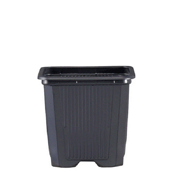 Maceta Cuadrada Negra / Gris 9 x 9 x 10 cm. 0.6 lt. - 50 ud