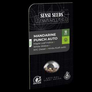 14066 - Mandarin Punch  1 u. fem. Sensi Seeds Research
