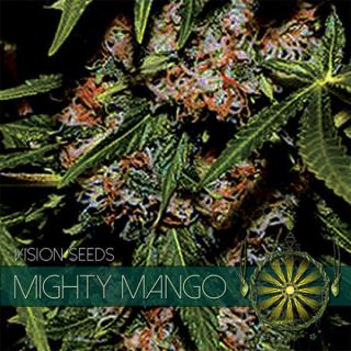 9223 - Mighty Mango 3+1 u. fem. Vision Seeds