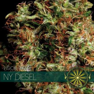9226 - NY Diesel 3 u. fem. Vision Seeds