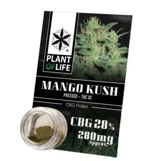 17748 - Polen CBG 28% Mango Kush Plant of Life
