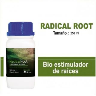 RR250 - Radical Root   250 ml. Trabe