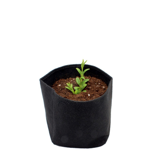 Root Tex Cuadrada 7.5 lt 2 gal Negra