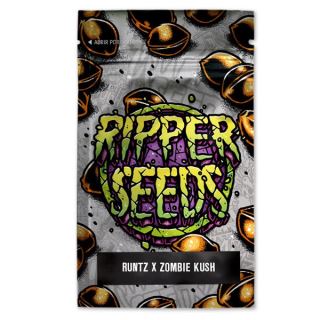 15593 - Runtz x Zombie Kush 3 u. fem. Ed. Lim. Ripper Seeds