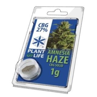 17752 - Solid 27% CBG Amnesia Haze 1 gr. Plant of Life