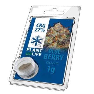 17753 - Solid 27% CBG Blueberry 1 gr. Plant of Life